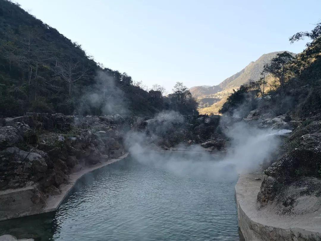 拿破仑：全面战争